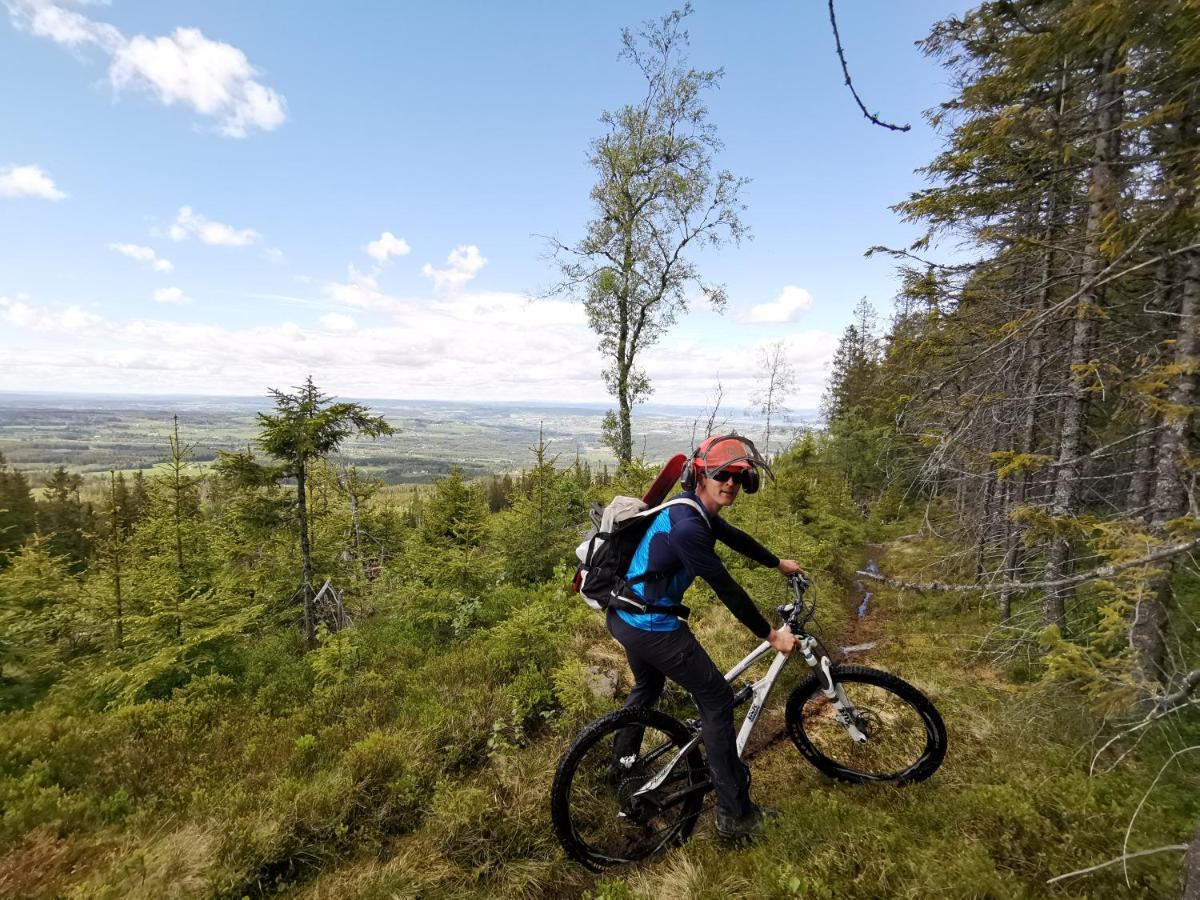 Hotel Idylliske Evjua Ved Mjosa Skreia Esterno foto