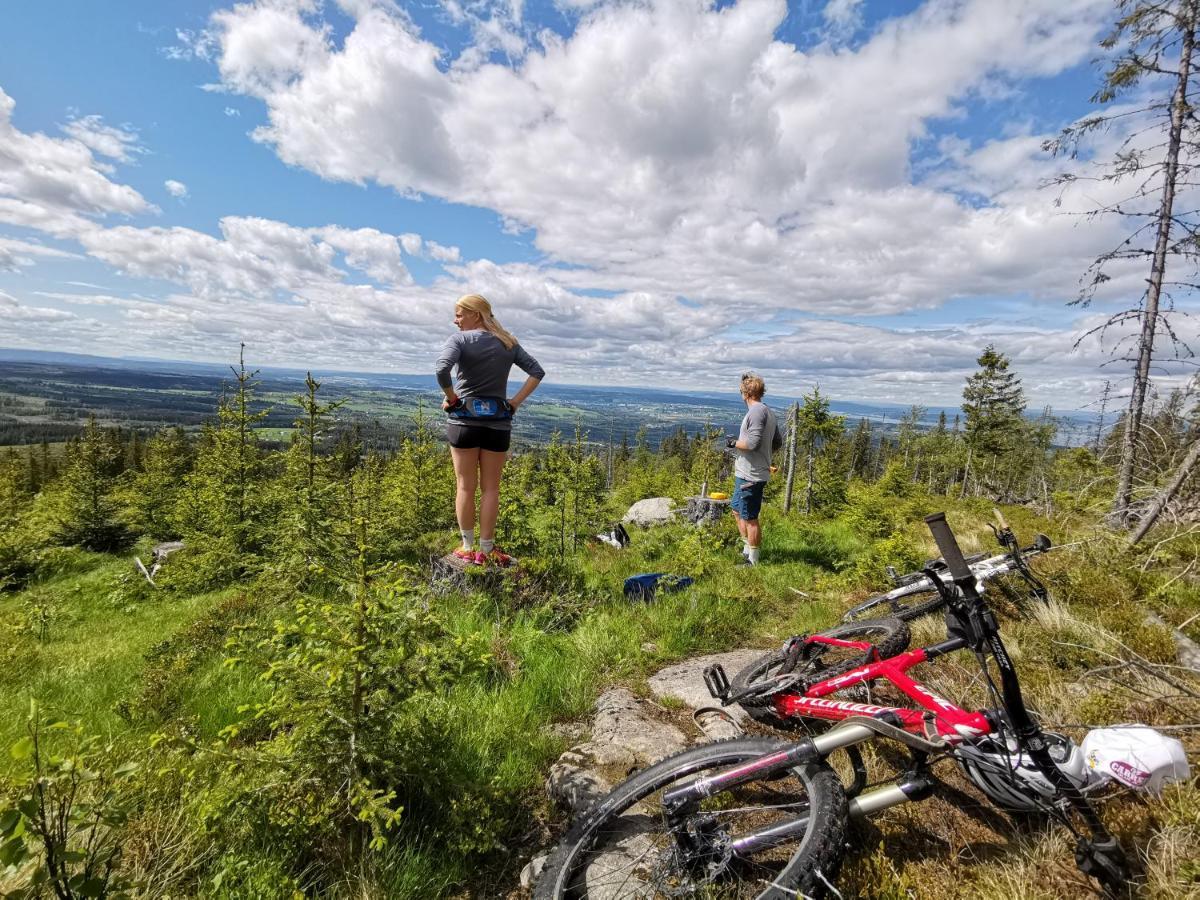 Hotel Idylliske Evjua Ved Mjosa Skreia Esterno foto