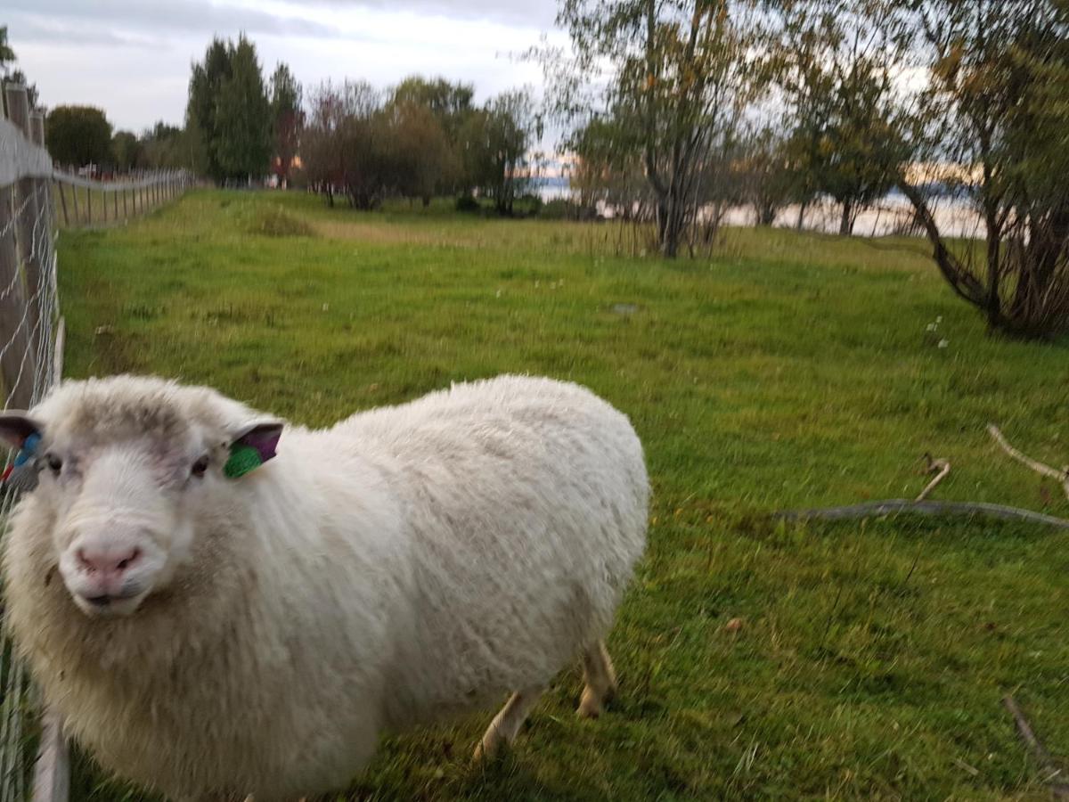 Hotel Idylliske Evjua Ved Mjosa Skreia Esterno foto