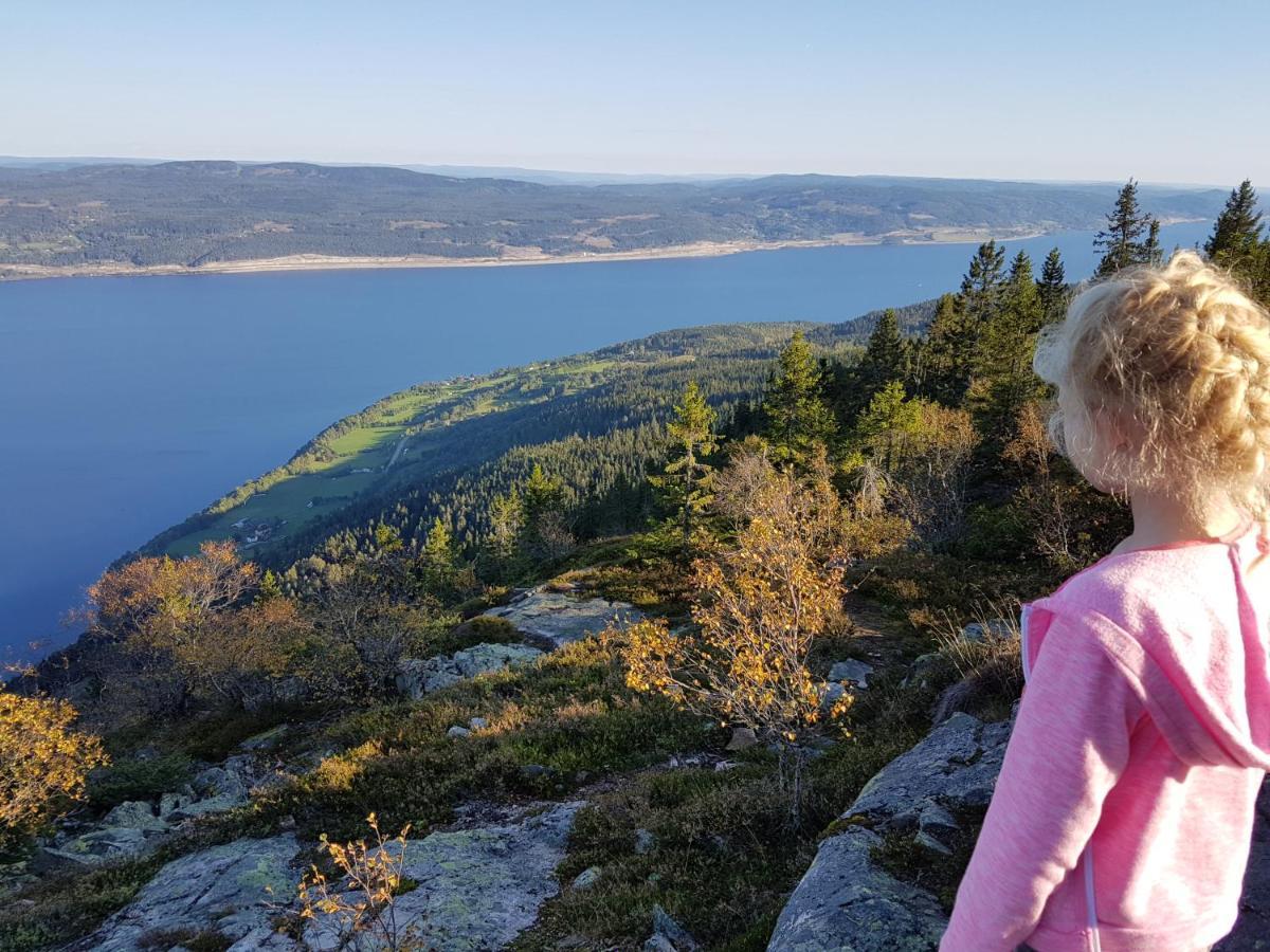Hotel Idylliske Evjua Ved Mjosa Skreia Esterno foto