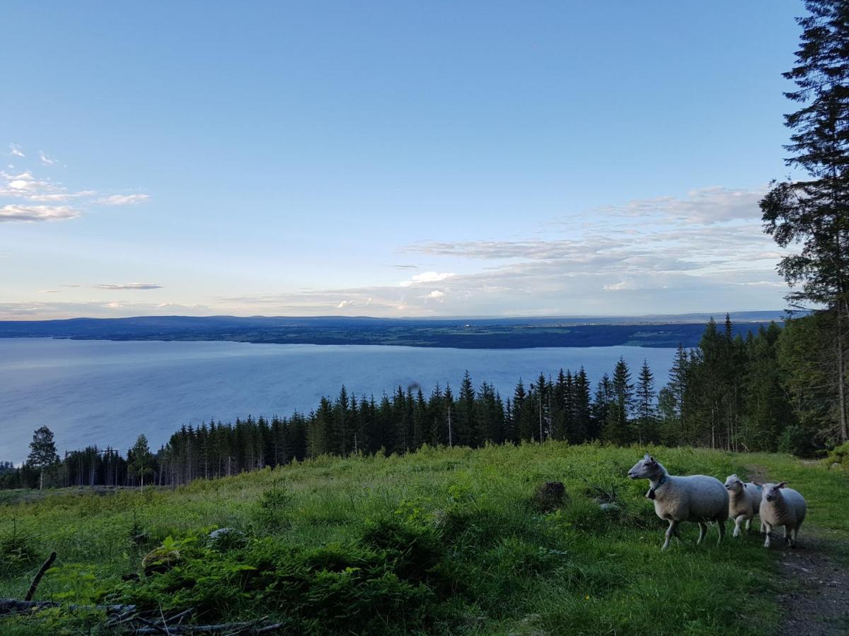 Hotel Idylliske Evjua Ved Mjosa Skreia Esterno foto
